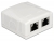 86197 Delock Network Wall Outlet 2 Port Cat.6A LSA small
