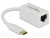 65906 Delock Adaptér Super Speed USB (USB 3.1 Gen 1) s USB Type-C™ samec > Gigabit LAN 10/100/1000 Mbps kompaktní bílá small