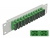 66792 Delock Pannello patch da 10″ in fibra ottica a 12 porte per SC Duplex verde 1U grigio small