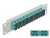 66794 Delock Pannello patch da 10″ in fibra ottica a 12 porte per SC Duplex azzurro 1U grigio small