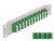 66797 Delock 10″ patch panel pro optická vlákna, 12 portů, LC Quad, zelený, 1U, šedá small