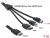 84430 Delock Cable eSATAp 12V > eSATA/USB-B/MD6  1m small