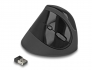 12599 Delock Εργονομικό Ποντίκι USB κάθετο - ασύρματο