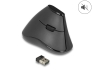 12622 Delock Ergonomic vertical optical 5-button mouse 2.4 GHz wireless - Silent