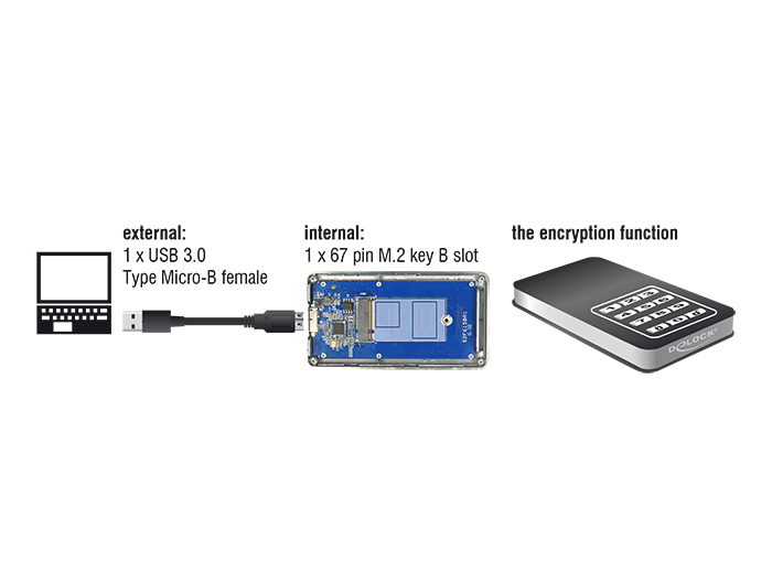 Delock Boîtier externe SSD M.2 NVMe PCIe&ATA vers USB 3.1 M2
