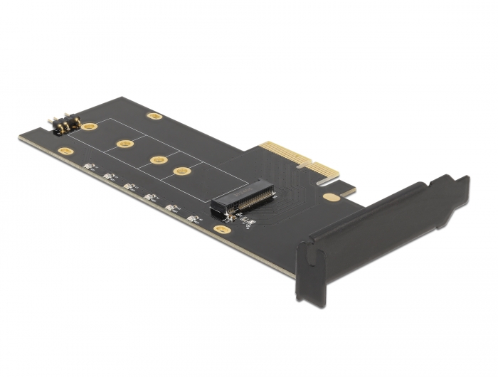 Delock Produits 89013 Delock Carte PCI Express x4 vers 1 x NVMe M.2 Key M  interne avec disperseur de chaleur et RGB LED - Facteur de forme à profil  bas