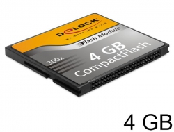 54473 Delock Compact Flash Card 4 GB