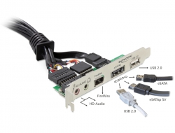 61823 Delock Slotbracket eSATAp/USB 2.0/FireWire/HD-Audio