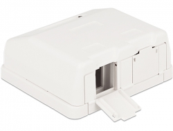 86236 Delock Keystone Surface Mounted Box 2 Port with dust cover