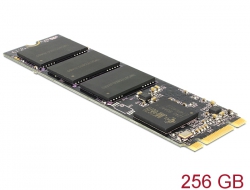 54621 Delock M.2 NGFF SATA 6 Gb/s SSD 256 GB 80 mm