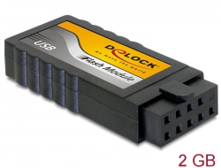 54152 Delock USB 2.0 Flash Module 2 GB vertical