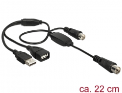 13009 Delock Antennenkabel IEC Buchse > IEC Stecker mit Phantomspeisung 5 V über USB 22 cm