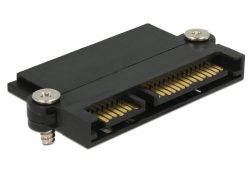 65692 Delock Conector SATA cu funcție NSS și clemă din plastic