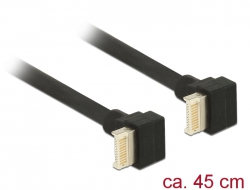 85328 Delock Cable USB 3.1 Gen 2 key B 20 pin male > USB 3.1 Gen 2 key B 20 pin male 45 cm