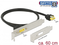 84950 Delock Slotblech SATA 6 Gb/s Buchse intern > SATA Stecker Pin 8 Power extern 60 cm 