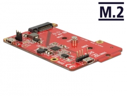 62841 Delock Convertor Raspberry Pi cu conector USB Micro-B mamă / conector USB cu pini > 1 x fantă M.2 cu cheie tip B
