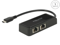 63927 Delock Adaptateur USB Type-C™ à 2 x LAN Gigaoctet