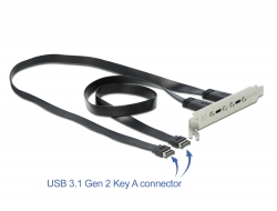 89935 Delock USB 3.1 Gen 2 Staffa per slot con 2 x porte USB Type-C™