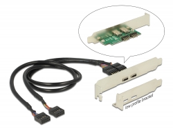 84754 Delock Soporte de ranura 2 x Base de conexiones USB 2.0 > 2 x USB Type-C™ hembra, factor de forma de bajo perfil