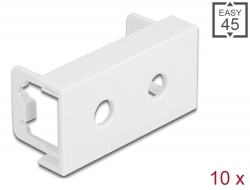81369 Delock Plaque de module Easy 45, ouverture ronde 2 x M6, 45 x 22,5 mm, 10 unités, blanc