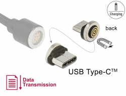 65933 Delock Adaptor Magnetic USB Type-C™ tată