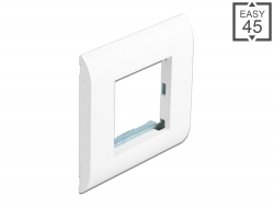 81300 Delock Easy 45 Module Holder with Frame 80 x 80 mm white