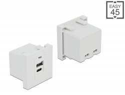 81313 Delock Easy 45 USB Charging Port Module 1 x Type-A + 1 x USB Type-C™