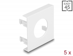 81394 Delock Easy 45 Module Plate Round cut-out Ø 24 mm, 45 x 45 mm 5 pieces white