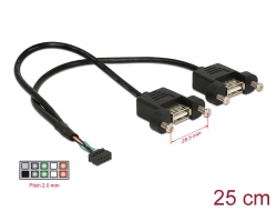 84832 Delock Cable USB 2.0 pin header female 2.00 mm 10 pin > 2 x USB 2.0 Type-A female panel-mount 25 cm