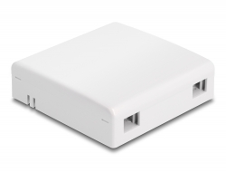87897 Delock Caja de conexión de fibra óptica para montaje en pared para 2 x SC Simplex o LC Duplex blanco 