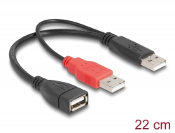 65306 Delock 2 câbles Y USB 2.0 Type-A mâle > USB 2.0 Type-A femelle 20 cm