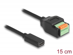 66067 Delock USB 2.0 Kabel USB Type-C™ Buchse zu Terminalblock Adapter mit Drucktaster 15 cm