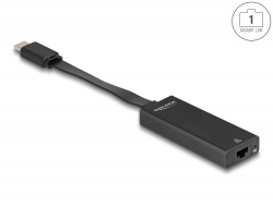 66246 Delock USB Type-C™-adapter till Gigabit LAN smal