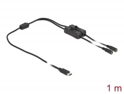 86800 Delock Kabel USB Type-C™ Stecker zu 2 x DC 5,5 x 2,1 mm Buchse mit Schalter 1 m