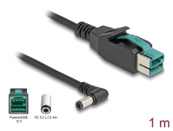80609 Delock PoweredUSB kabel muški 12 V na DC 5,5 x 2,5 mm muški kutni 1 m