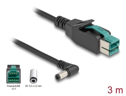 80611 Delock PoweredUSB cable male 12 V to DC 5.5 x 2.5 mm male angled 3 m