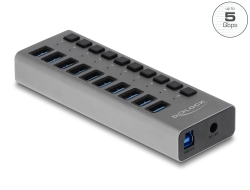 63670 Delock External 5 Gbps USB Hub with 10 Ports + Switch