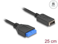 65100 Delock USB 5 Gbps-kabel polhuvud hona till inbyggd USB Typ-E Nyckel A hona 25 cm