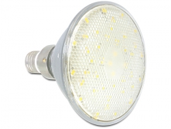 46306 Delock Lighting E27 PAR38 LED illuminant 42x SMD 9.0W with cover warm white