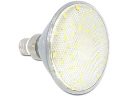 46305 Delock Lighting E27 PAR38 LED illuminant 42x SMD 9.0W with cover cool white